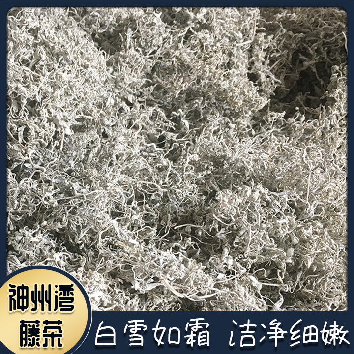 主图3.JPG